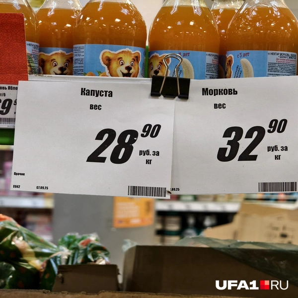Источник: Булат Салихов / UFA1.RU