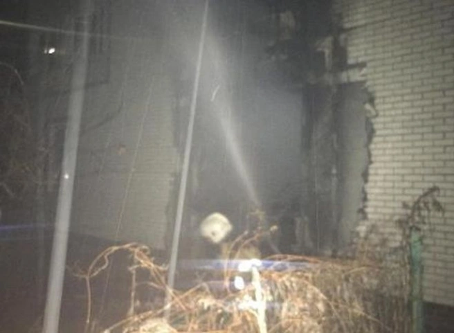 На пожаре во Владимирской области погибли бабушка и двое внуков | ya62.ru