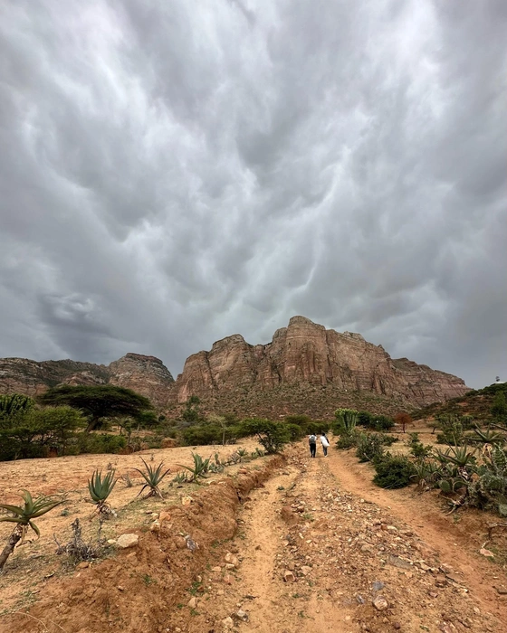 Пейзажи в Эфиопии | Источник: Вкус свободы / vk.com