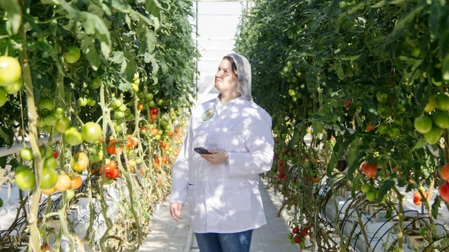 Теплица Казанского государственного аграрного университета | Источник: архив КазГАУ