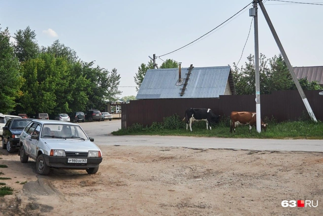 Источник: Роман Данилкин / 63.RU