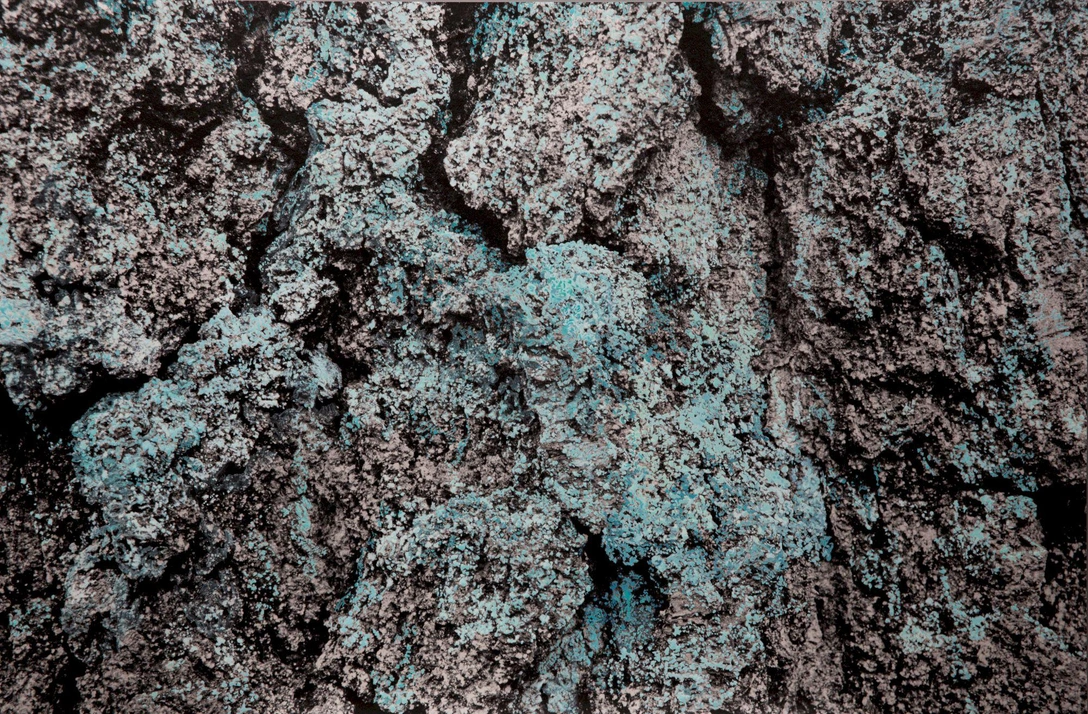 Лидия Ильчук. «Лишайник». | Источник: архивы пресс-служб