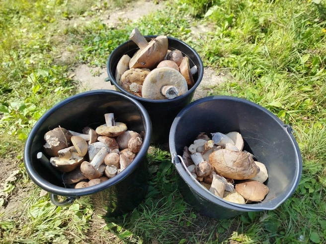 Источник: Вера Шакина