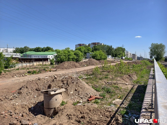 Даже песок успел зарасти кленом | Источник: Булат Салихов / UFA1.RU