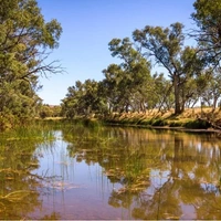 Старше динозавров. Какая река в мире самая древняя?