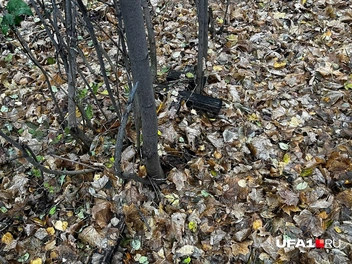 Крест вот так просто валяется в листьях | Источник: Екатерина Чижик / UFA1.RU
