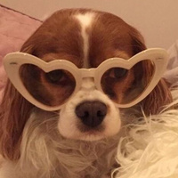 Аватарка Макинтош