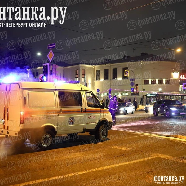 Источник: Дарья Драй / «Фонтанка.ру»