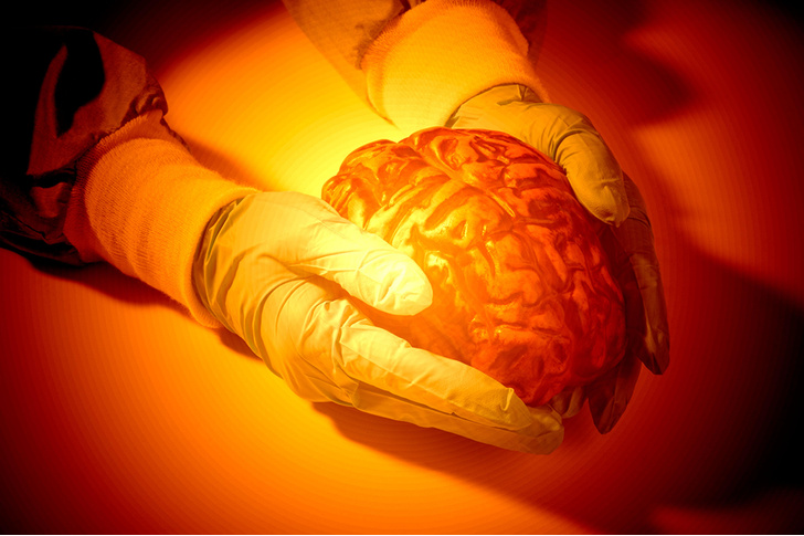 Лихорадочная работа: мозг человека способен разогреваться до 40,5ºС