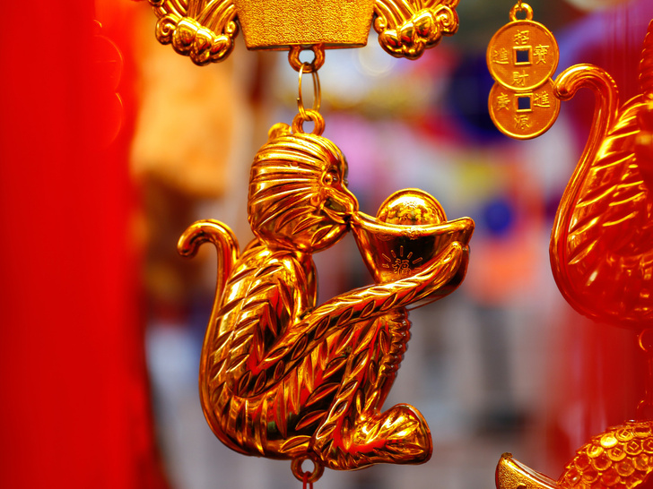 Фото №5 - Китайский гороскоп на 2022 год: что ждет каждый знак восточного календаря