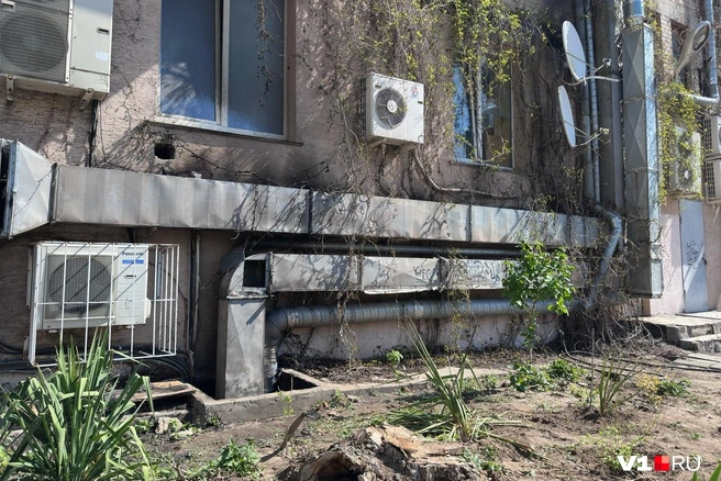 Огонь в «Шафране» вспыхнул ночью 16 апреля | Источник: Алексей Волхонский / V1.RU