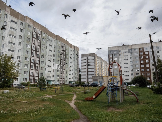 Птицы рассекают небо над двором на улице Космонавтов | Источник: Александр Куренной / 76.RU