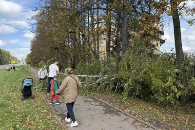 Ураган в Москве: погиб человек, сбой трамваев