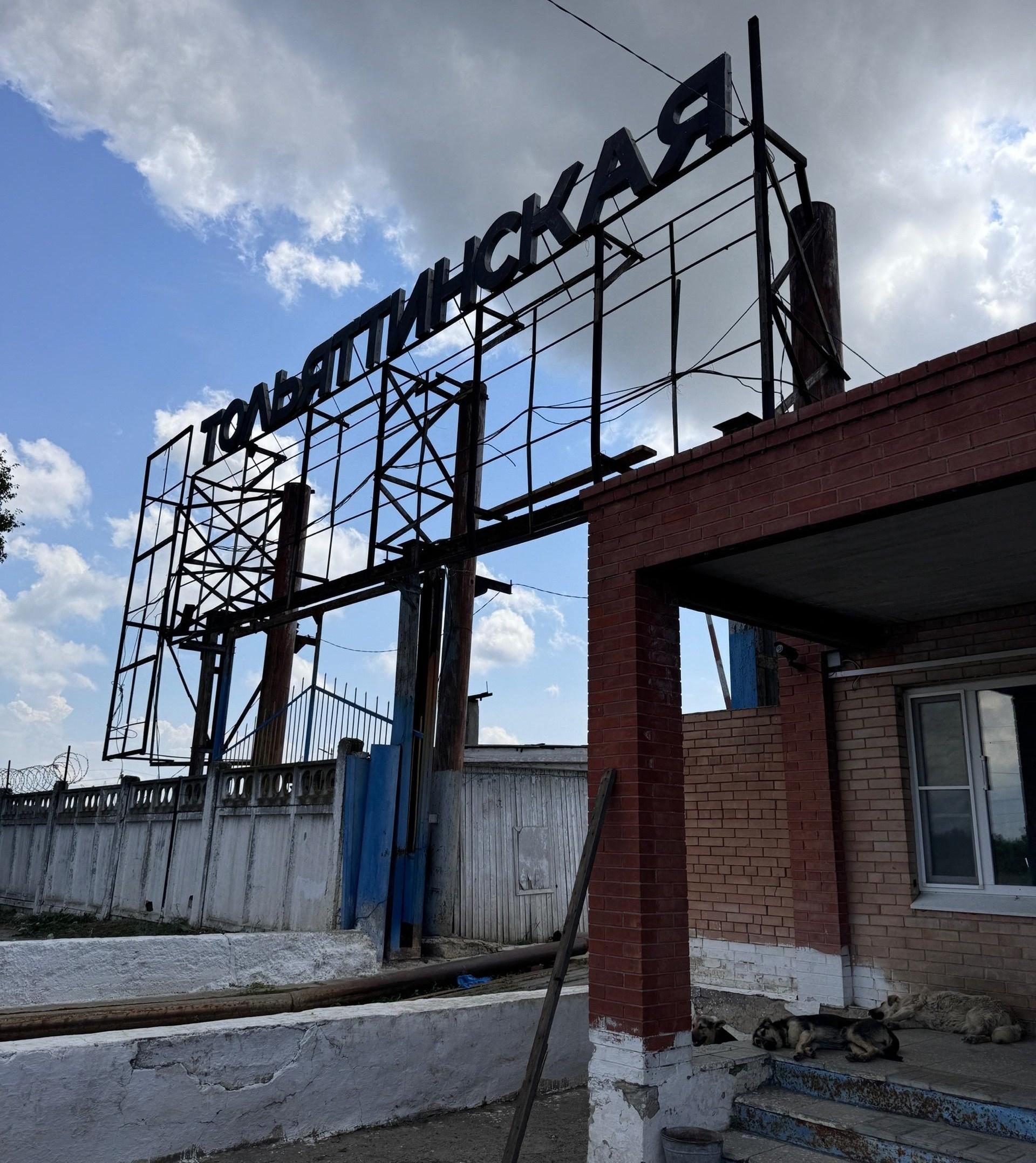 На Тольяттинской птицефабрике начнут делать колбасу. А позже — высиживать яйца
