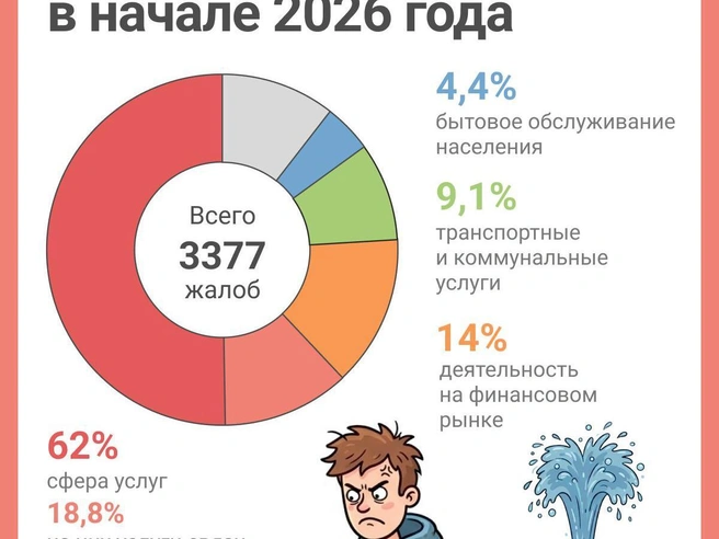 Структура обращений жителей Новосибирской области в первом квартале 2026 года | Источник: Юрий Орлов / Городские медиа