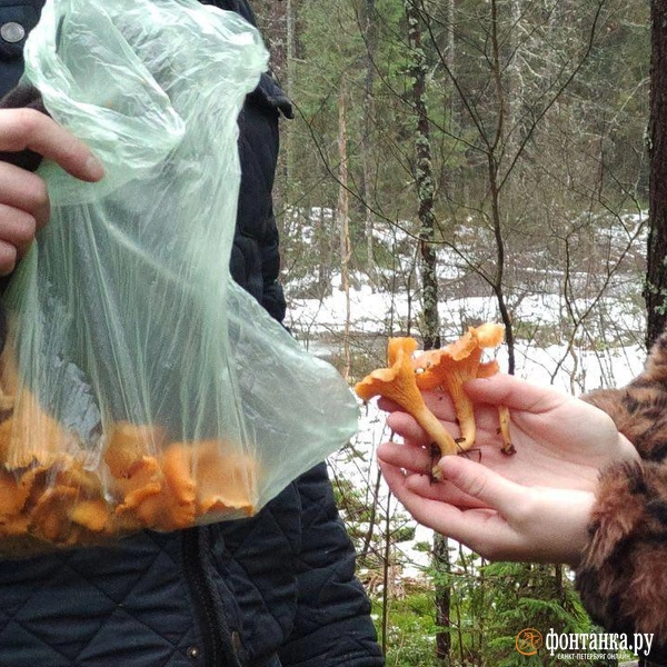 Источник: Сергей Елгазин