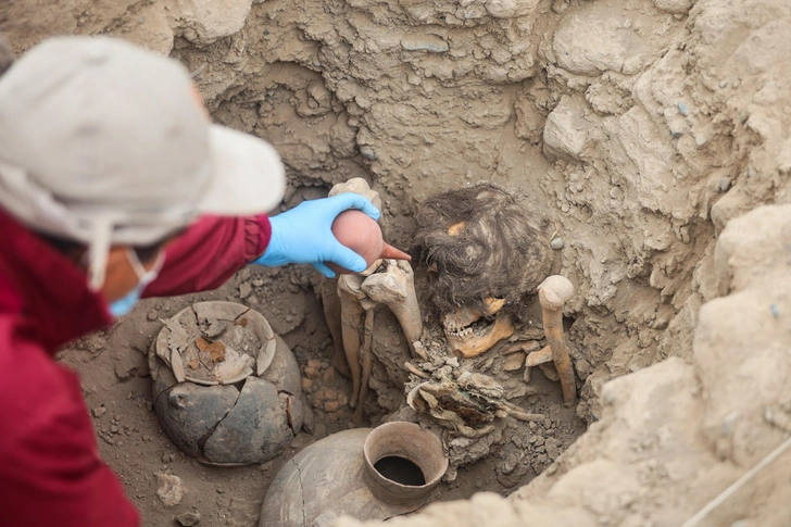 Задолго до инков: в Перу найдена 1000-летняя мумия с отлично сохранившейся копной густых волос