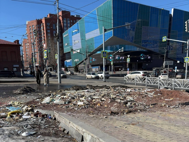 Владелец должен ликвидировать свалку в установленное время, иначе ему придется компенсировать затраты на работу коммунальных служб | Источник: читательница E1.RU