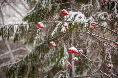 Погода в Иркутске 5 января 2026: прогноз на понедельник