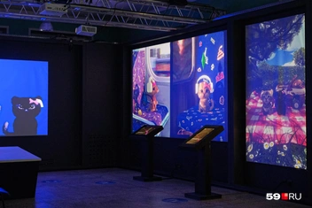 Источник: Тимофей Калмаков / 59.RU