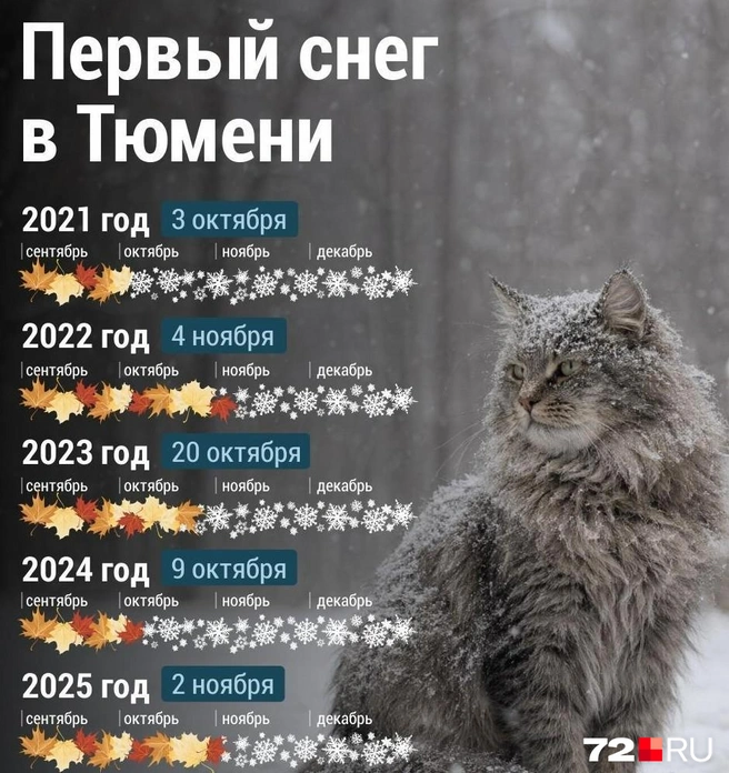 Источник: Дмитрий Гладышев / 72.RU
