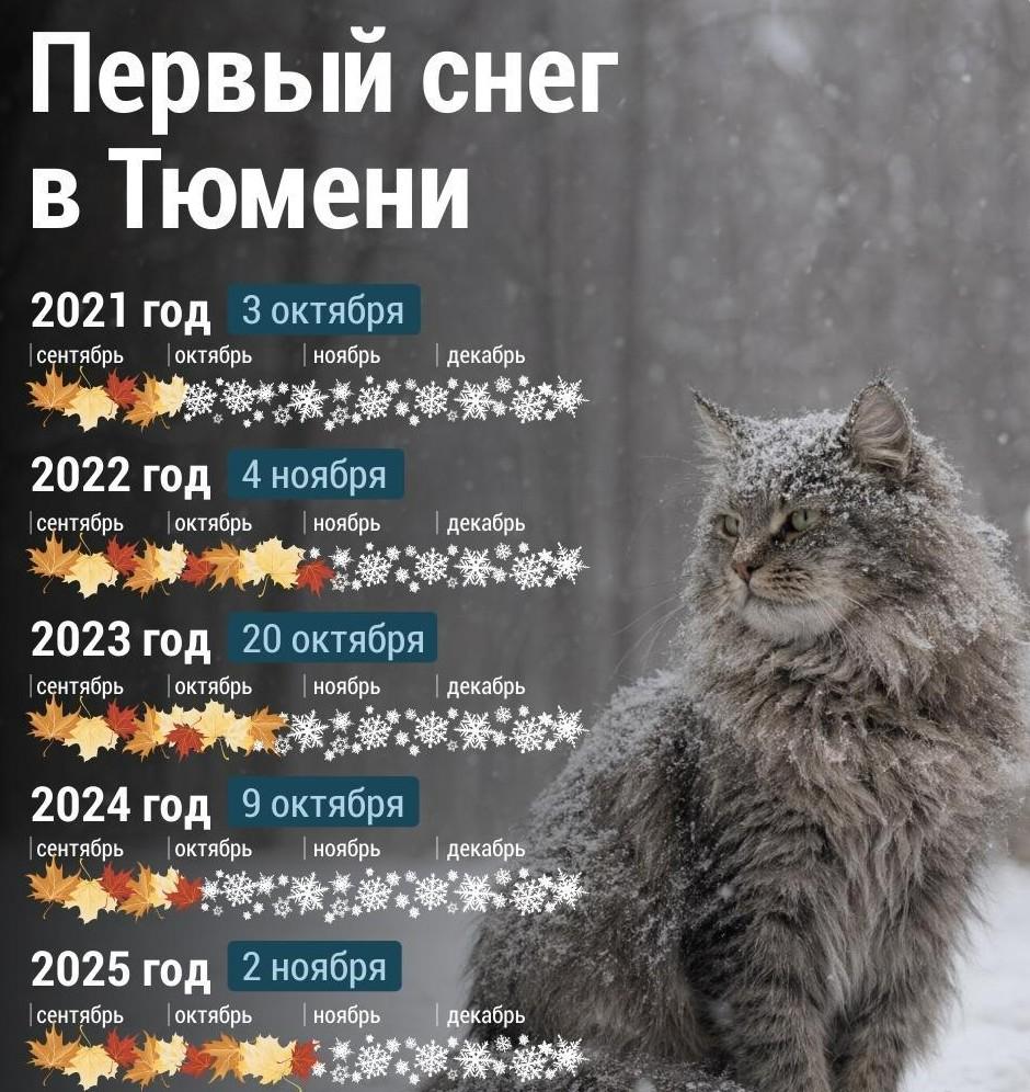 С новым снегом! Миллионы белых «мух» летят по Тюмени — видео