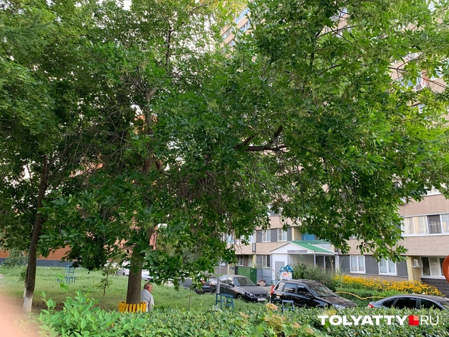 Видно, что люди за домом ухаживают — тут уютно | Источник: Надежда Макарчук 