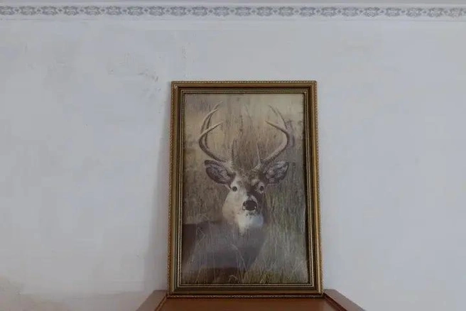 Источник: личный архив Антона Здановича