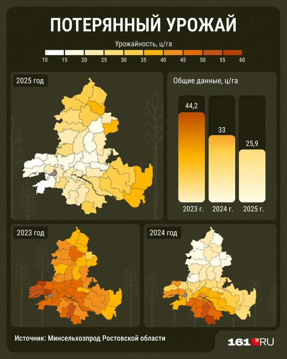 Источник: Мария Романова / 161.RU