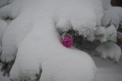 Приморье ждет снег, накат и порывистый ветер в выходные