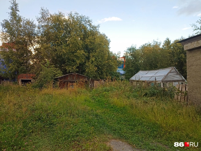 Чем дальше уходить от автодороги, тем сильнее нарастает ощущение, что находишься в деревне | Источник: Мария Гришкина / 86.RU