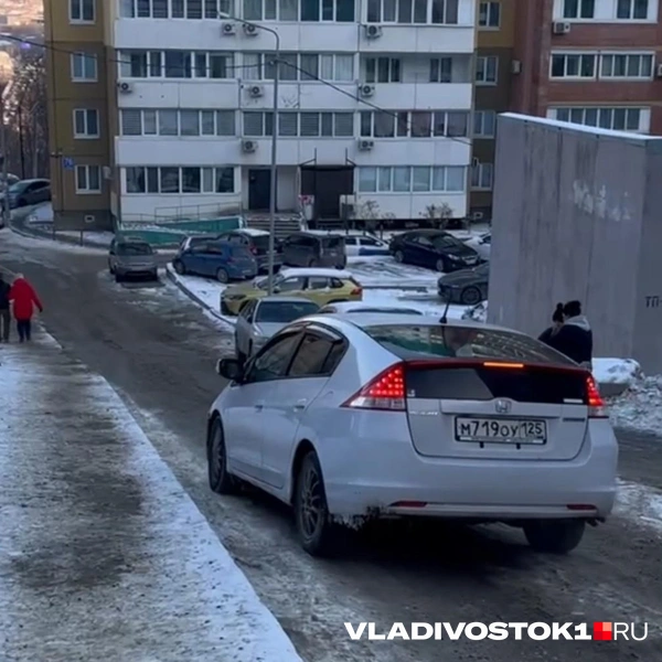 Источник: Елена Буйвол / VLADIVOSTOK1.RU