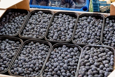 Магнит приобрел кубанское производство голубики за 1,4 млрд рублей