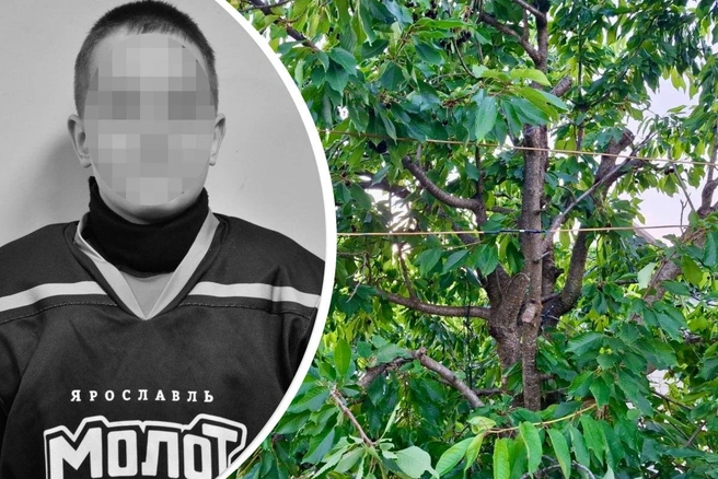 Хоккеист из Ярославля погиб от удара током | Источник: Молот 2013 г. Ярославль / Vk.com, СУ СКР по Астраханской области