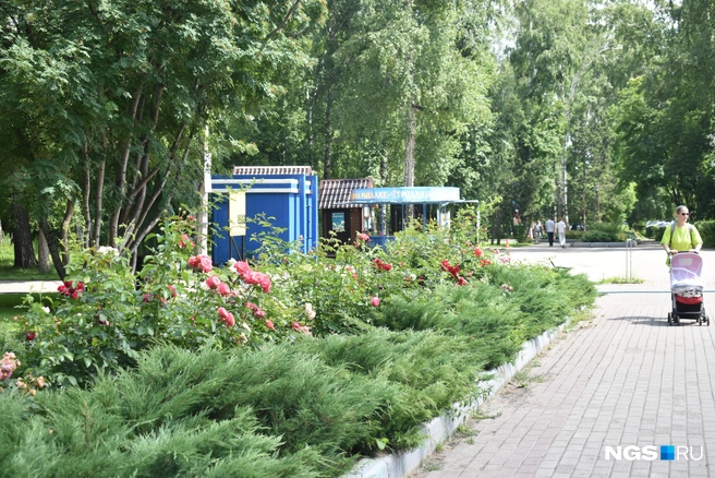 Парк спасает сибиряков от городской суеты | Источник: Алёна Яхтина / NGS.RU