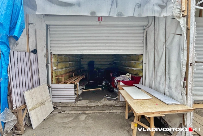Источник: Елена Буйвол / VLADIVOSTOK1.RU