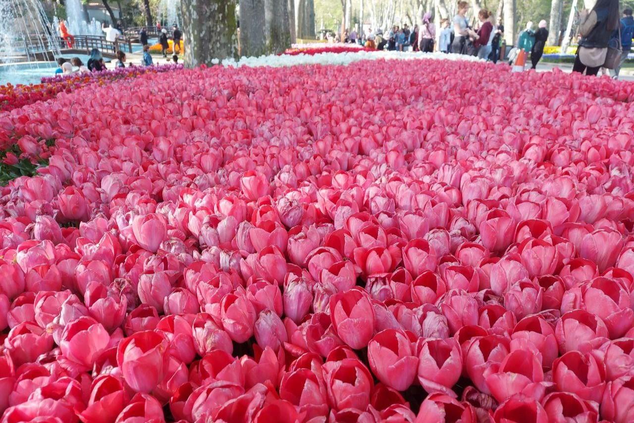 ���� � ������ ������ �����? ���� ������ �� ������� ���������, ����� �� ������� ��� ��������