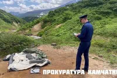 Организатора туров из Тюмени обвиняют после нападения медведя