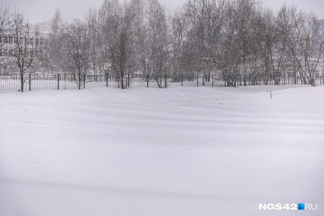 Когда-то здесь была тропинка | Источник: Максим Серков / NGS42.RU