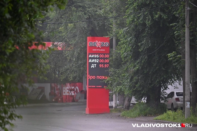 Источник: Елена Буйвол / VLADIVOSTOK1.RU