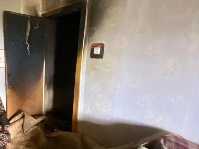 Дверь, вероятно, сдерживала огонь, не давая ему распространиться в комнату | Источник: МЧС Ярославской области / max