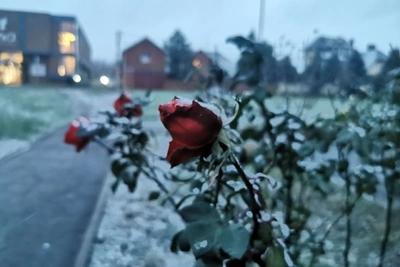 В Ростове выпал первый снег