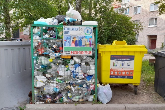 Контейнер-сетка без дна и контейнер, соответствующий стандартам | Источник: Анна Мотовилова / «Фонтанка.ру»