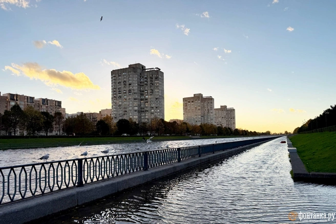 Смоленка вышла из берегов из-за сильного ветра в Петербурге | Источник: Сергей Михайличенко / FONTANKA.RU