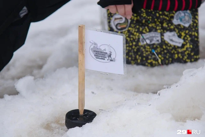Флажком помечают лунку | Источник: Иван Митюшёв / 29.RU