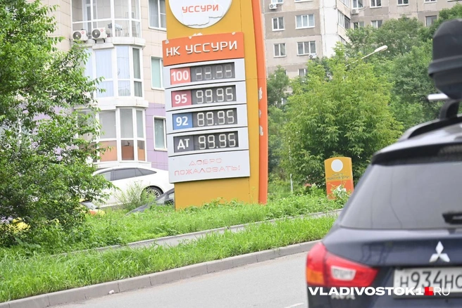Источник: Елена Буйвол / VLADIVOSTOK1.RU