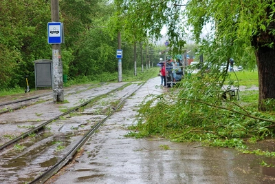 Тёплые выходные в Туле: когда ждать грозу