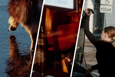 Архангельск преобразился в весеннем солнце