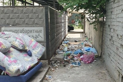 «Грызуны, тараканы, голуби — все водятся»: борьба за чистоту
