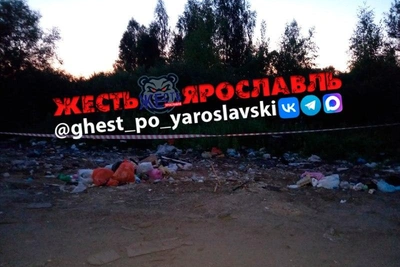 В Ярославле вместе с мусором исчез контейнер